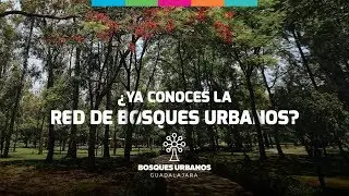 Red de Bosques Urbanos en la ciudad - Gobierno de Guadalajara
