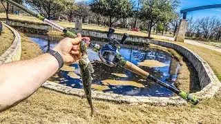 5 PONDS IN 3 HOURS!!! Bandito Bug Crushing It 💥