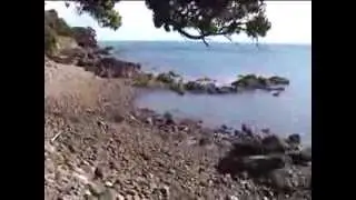 Coromandel Holiday 2003
