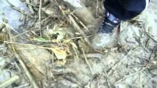 Nike Skyline in mud