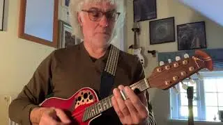 Vigilante Man. Slide Mandolin.