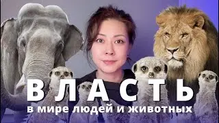 ВЛАСТЬ. Патриархат vs Матриархат и что общего у мужчин и слонов?
