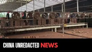 Covered-Up Crimes: China's Modern Slavery Industry Targeting the Disabled