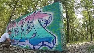 Graffiti wrap in the woods !