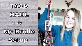 Weaver TACK HAUL & The Bridle Setup That I Use