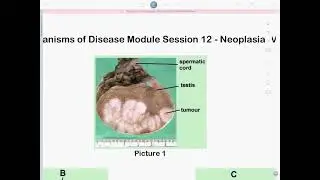 MoD - Session 12 - SGD - G 3&4