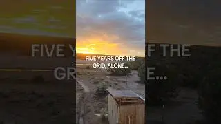Five years off the grid alone #frugaloffgrid #hermit #offgrid #alone #lolshorts