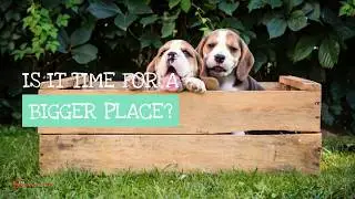 WE BUY HOUSES IN VALPARAISO INDIANA - Call Us! (219) 669-4806