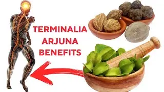 Arjuna Herb (Terminalia) : Nature's Hidden Treasure for Wellness