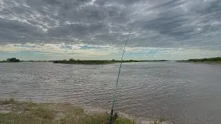 Wild Fishing & Cooking: Catching Giant Catfish from Shore at an Incredible Spot