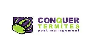 Termites Found in Brick Home in Carina: How They Travelled from Garage to Roof Void