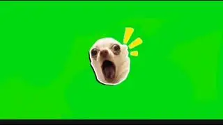 Surprised dog meme green screen (read description) 