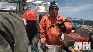 Jobs In The Crabbing Industry