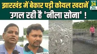 Ramgarh में वीरान पड़ी Coal Mines बनी मछली पालन का केंद्र, लाखों कमा रहे लोग ! | News24 Bihar