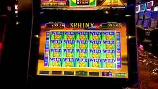 SPHINX WILD JACKPOT!!!!