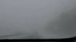 Deadly snowstorm Drive  #bostonterrier #Blandford MA 19 Feb 2022.