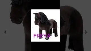 lemieux ponies