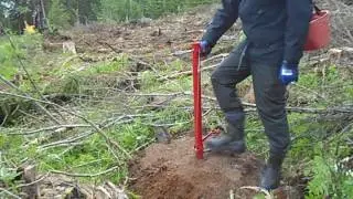 Metsänhoitoyhdistys: istuta oikein