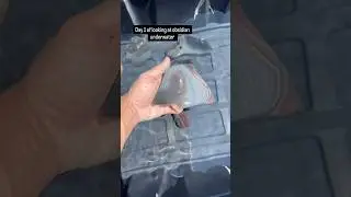 Looking at rainbow obsidian underwater! California Rainbow Obsidian. #obsidian #crystals #rainbow