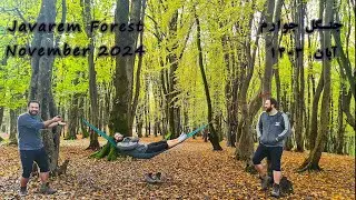 جنگل جوارم - Javarem Forest