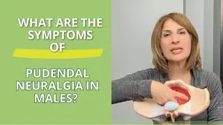 What Are the Symptoms of Pudendal Neuralgia in Males? #pudendalneuralgia #pelvicpain #pudendalnerve