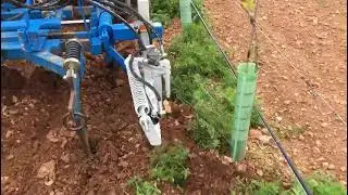 Intercepas misto juansa