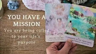 You have a mission! You are being called to your life's purpose ✨️