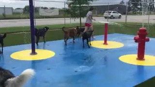 First day on the Splash Pad