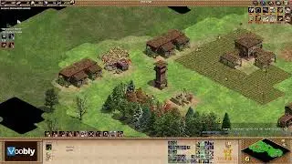 Voobly AOE2 1.6: Arabia, Spanish vs Persians