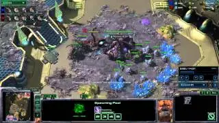 1v1 gold zvz: Emnel vs Beerweed: Epic gold hold 2