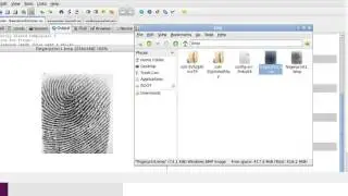 Raspberry Pi Fingerprint Testing