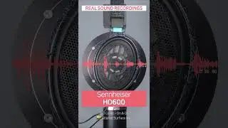 【REAL SOUND】 Audeze MM-500 🆚 Sennheiser HD600