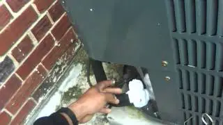 Frozen Heat Pump