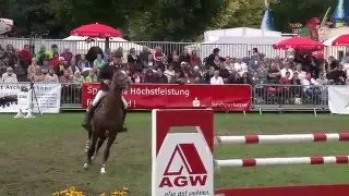Christof Kauert und Orplid - Springprüfung Kl. S**