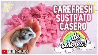 Como hacer SUSTRATO de PAPEL para HAMSTER 🐹✨ de COLORES