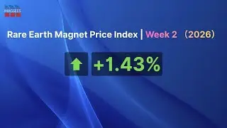Rare Earth Magnet Price Index | Week 2（2026）