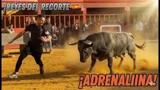 Extreme Cow Recortes in Spain 🇪🇸 | Dangerous Close-Call Bull Dodging