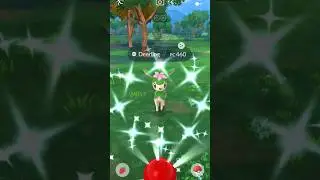 ✨SHINY DEERLING✨ | Pokemon GO