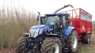 SRC Willow Harvesting