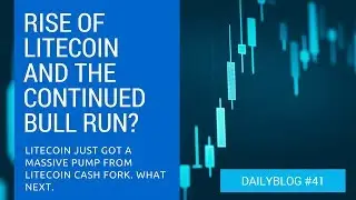 Litecoin Hard Fork = Free 35% profit. Make sure you claim it - daily blog 41