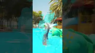 Dreamland Aqua Park, United Arab Emirates #travel #waterpark #travel #parqueacu&aacute;tico #parcaquatique