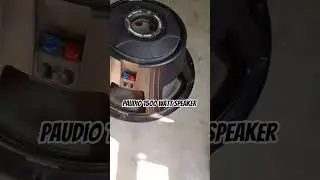 P Audio 1500 watt Speaker 18 inch model number c18 1000 v2