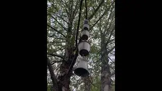 Tree decoration ideas #backyard #spring24 #backyardecoration # #birdswatching #nature #modi # #fun