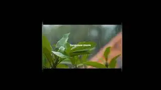 action music Suspense music never ever Melodies