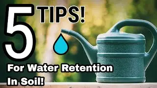 5 Ways to Improve WATER Retention in Your Soil! &ndash; Ep.1 to Start Growing Food at Home