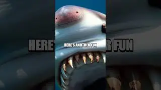 Fascinating Fun Facts About Teeth