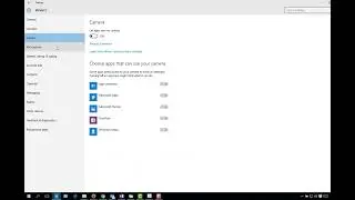 Camera or Mic Not Working, Check Your Privacy Settings