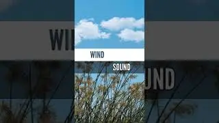 The Ultimate Wind Sound for Relaxation