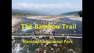 The Bamboo Trail - Namdapha National Park | Arunachal Pradesh