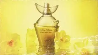 Rare Flowers Solar Narcissus